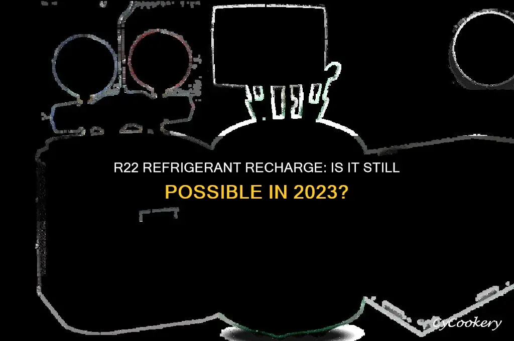 can you still get an r22 refrigerant recharge