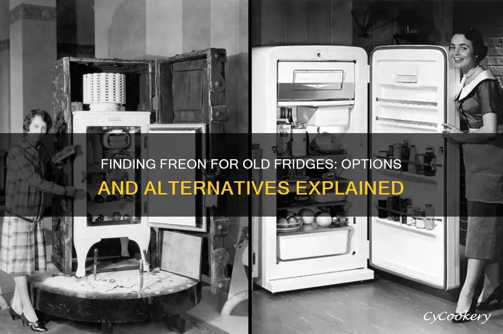 can you still get freon for old refrigerators