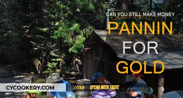 Panning for Gold: A Profitable Adventure?