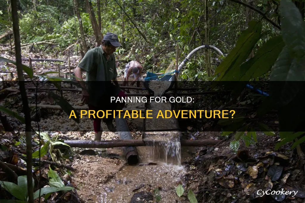 can you still make money panning for gold
