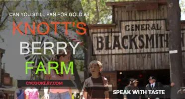 Panning for Gold: Knott's Berry Farm's Unique Attraction