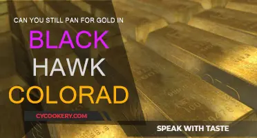 Panning for Gold in Black Hawk, Colorado: Is It Allowed?
