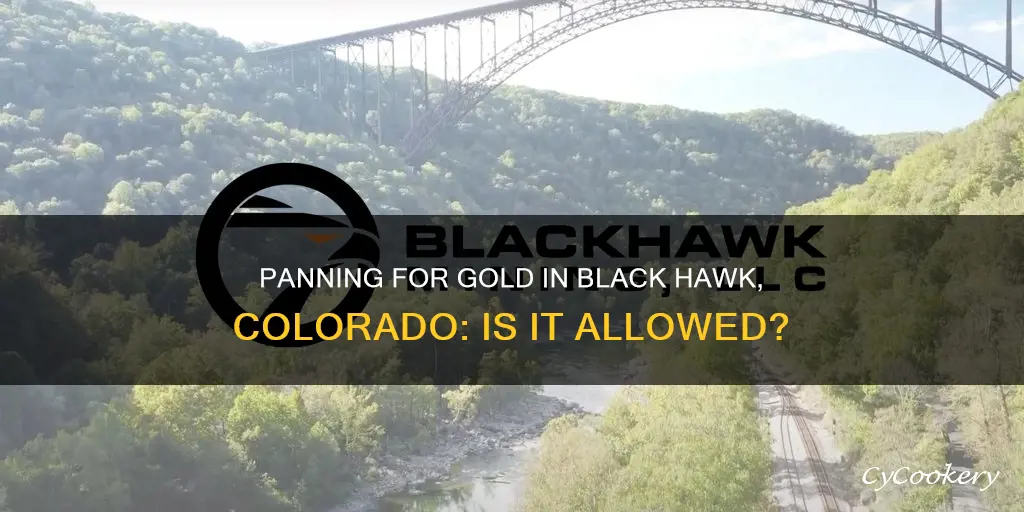 can you still pan for gold in black hawk colorado