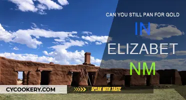 Panning for Gold in Elizabethtown, NM: Is It Allowed?