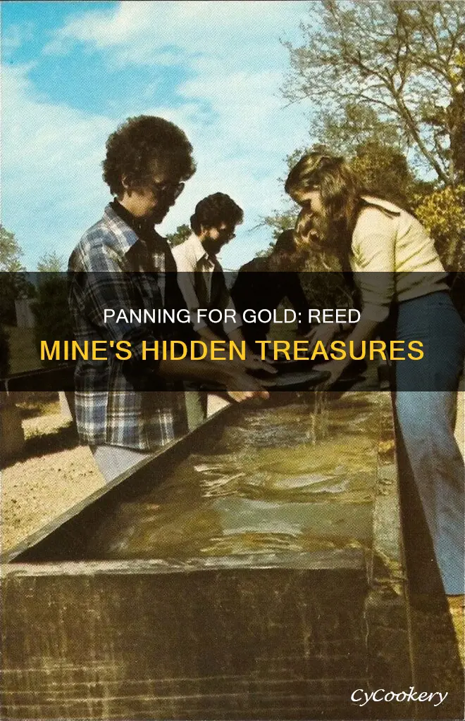 can you still pan for gold in reed mine