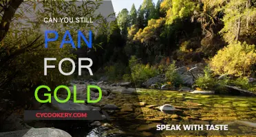 Panning for Gold: Is It Still Possible?