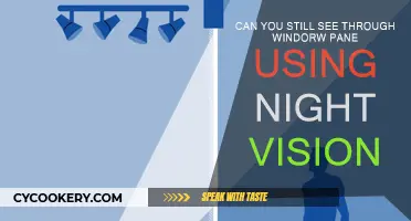 Night Vision: Can You See Through Glass?