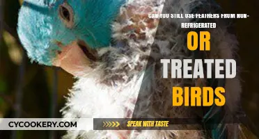 Using Untreated Bird Feathers: Safety, Risks, and Best Practices Explained