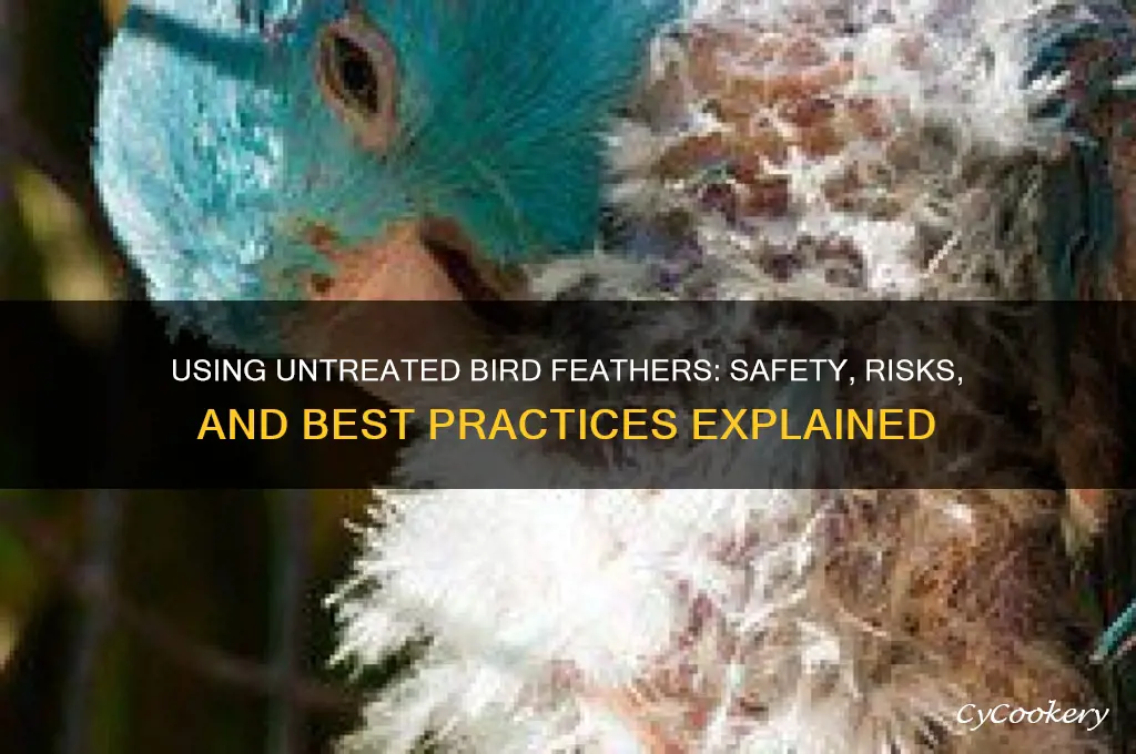 can you still use feathers from non-refrigerated or treated birds