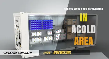 Storing a New Refrigerator in Cold Areas: What You Need to Know