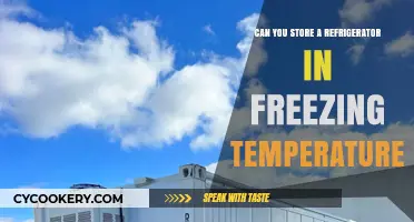 Storing a Refrigerator in Freezing Temps: Risks and Best Practices