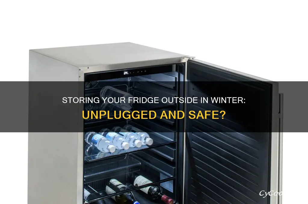 can you store a refrigerator outside in the winter unplugged