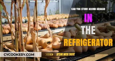 Storing Acorn Squash: Refrigerator Tips for Freshness and Longevity