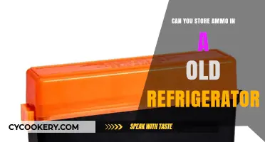 Storing Ammo in an Old Fridge: Safe Practice or Risky Idea?
