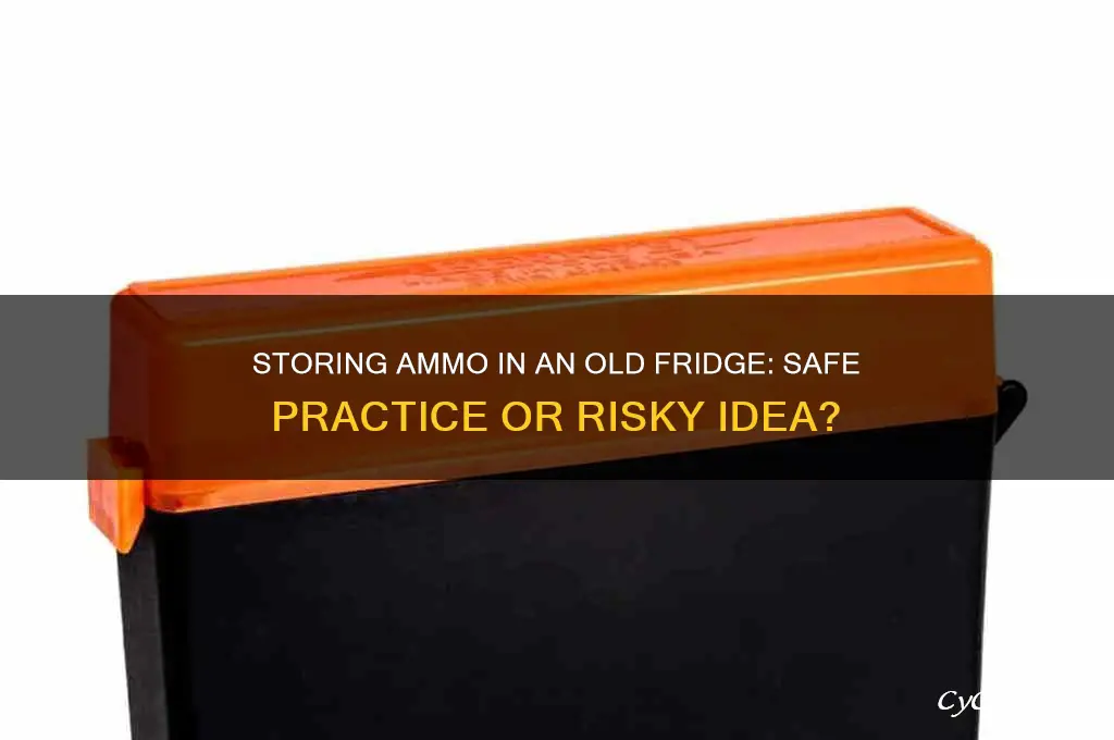 can you store ammo in a old refrigerator