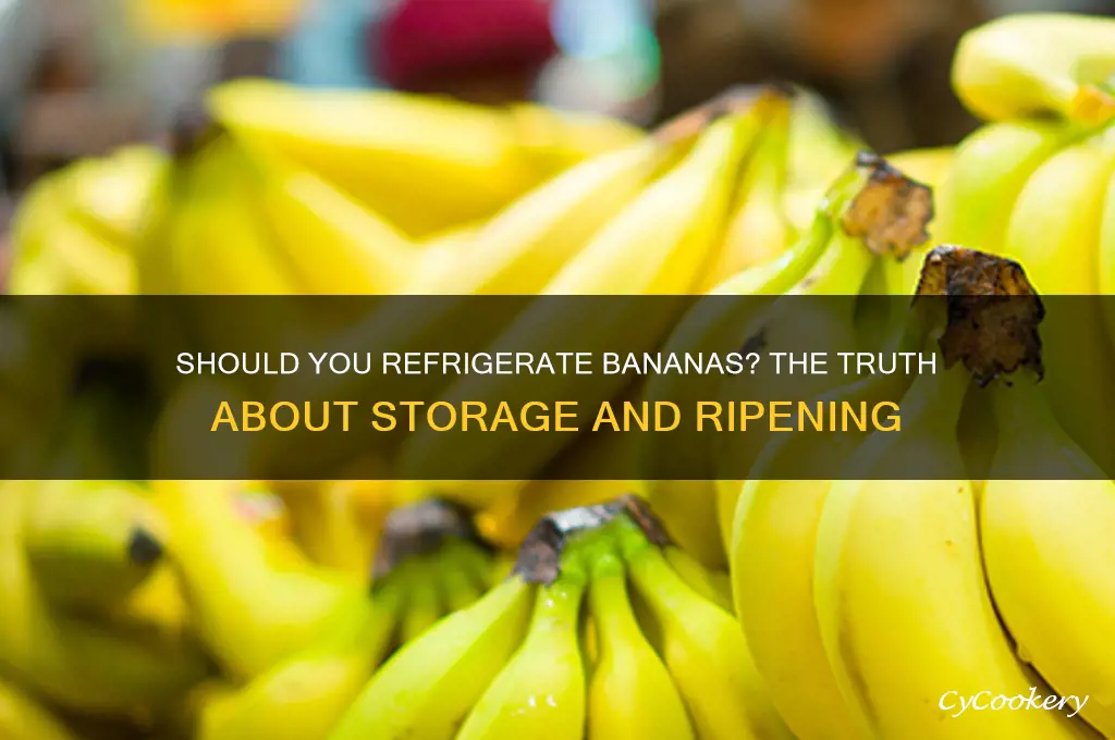 can you store bananas in a refrigerator