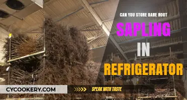 Storing Bare Root Saplings in Refrigerators: A Viable Option?
