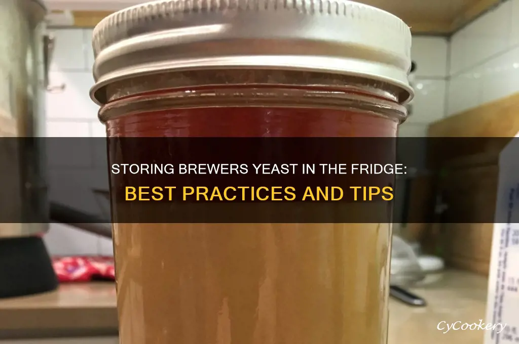 can you store brewers in refrigerator