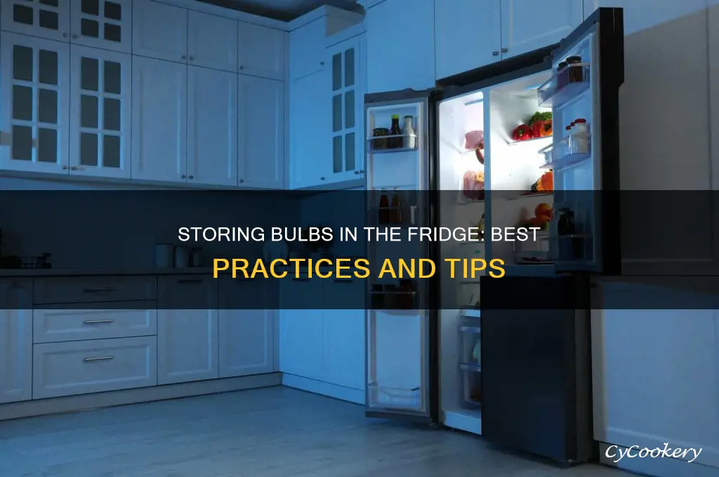 can you store bulbs in the refrigerator