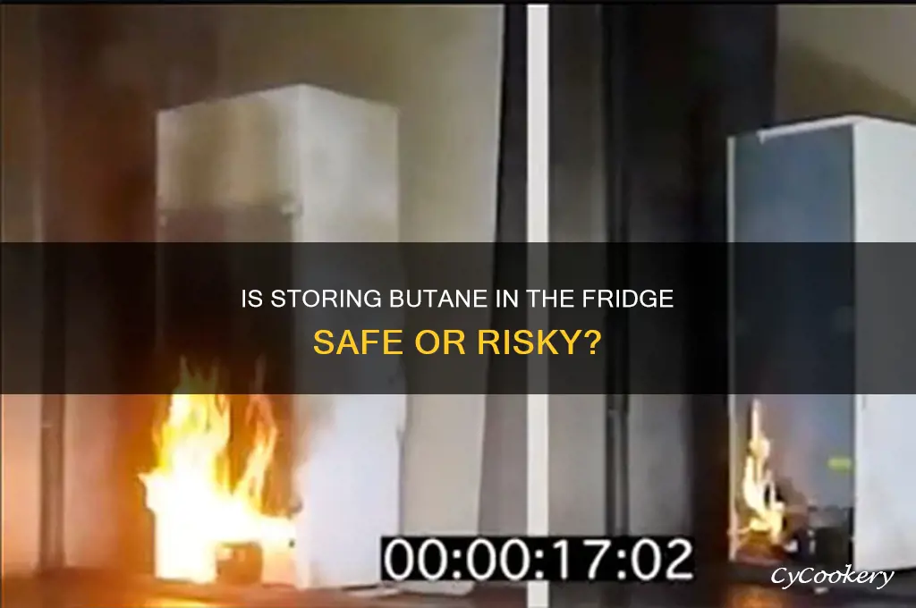 can you store butane in the refrigerator