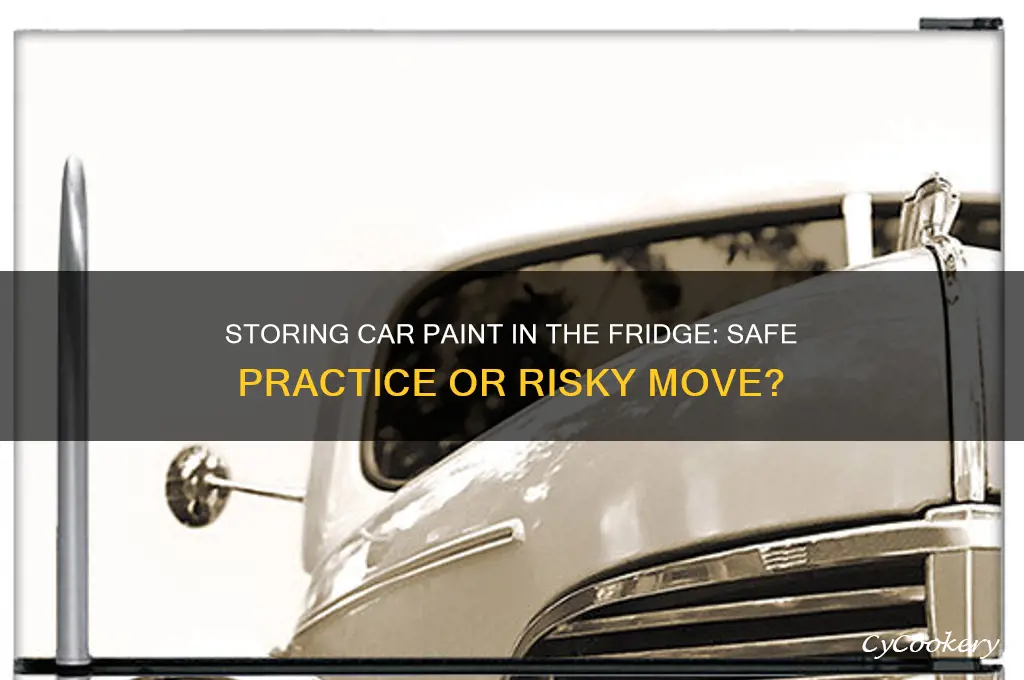 can you store car pain in the refrigerator