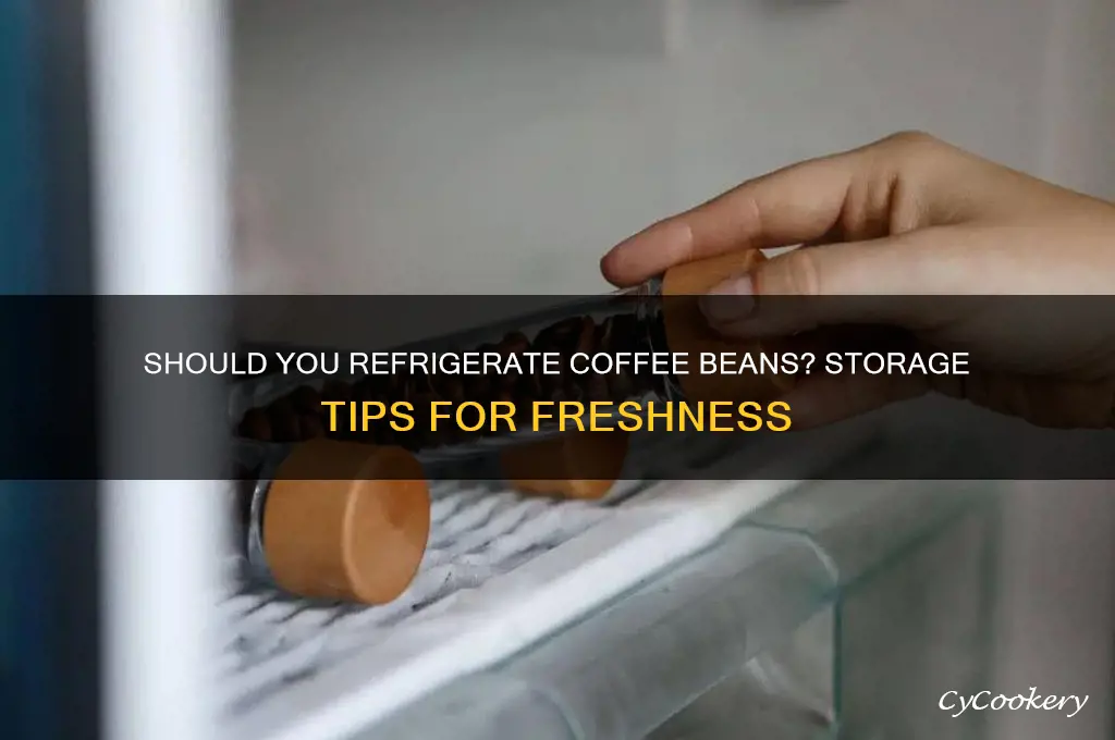 can you store coffee beans in the refrigerator
