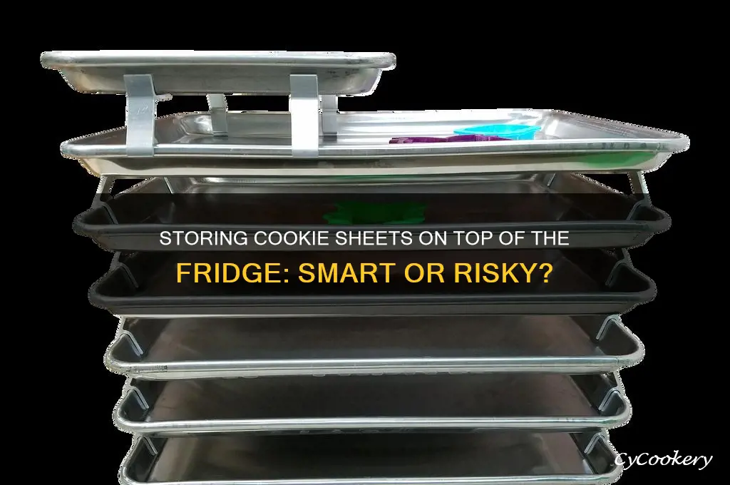 can you store cookie sheets on top of refrigerator