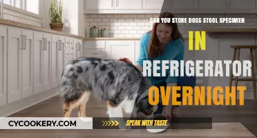 Storing Dog Stool Specimens: Overnight Refrigeration Tips and Safety
