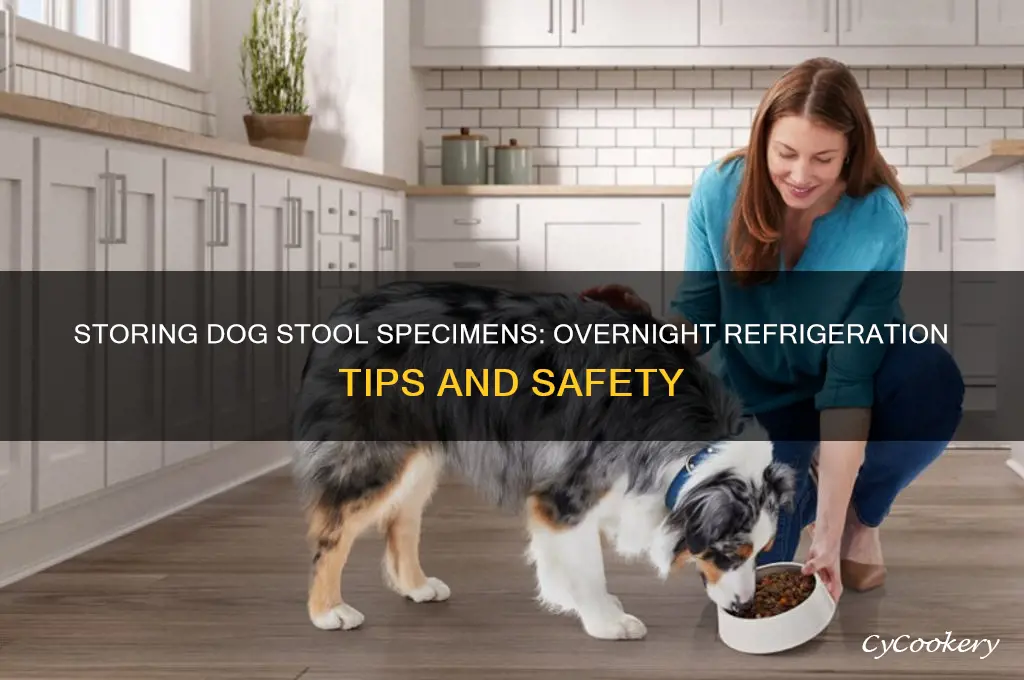 can you store dogs stool specimen in refrigerator overnight