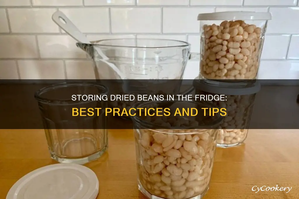 can you store dried beans in the refrigerator