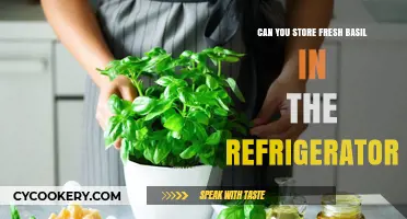 How to Store Fresh Basil in the Refrigerator: Tips and Tricks