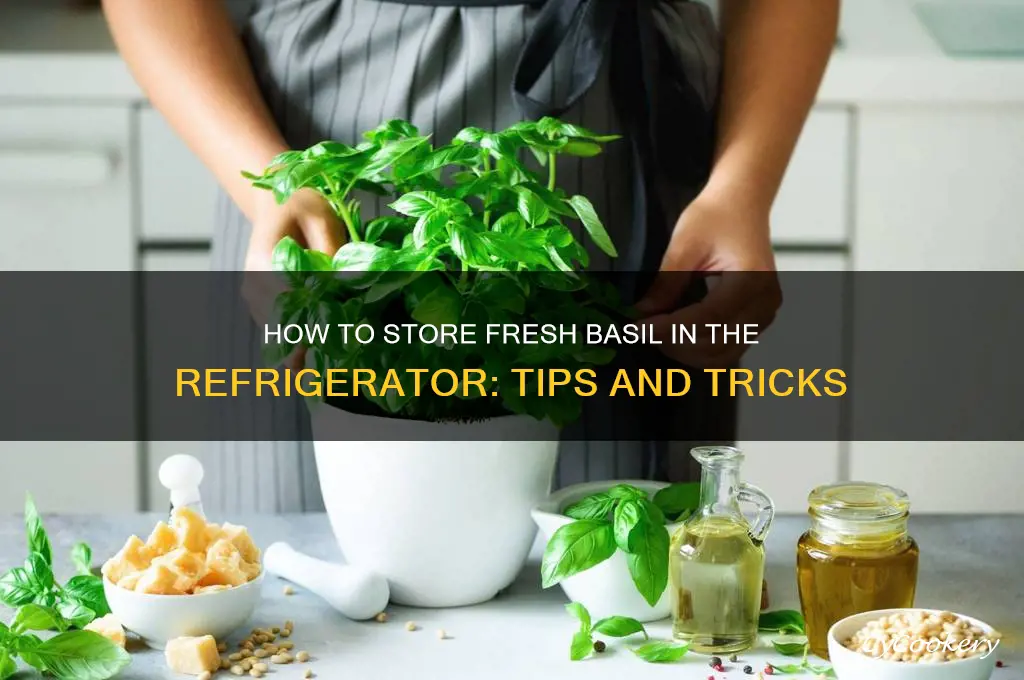 can you store fresh basil in the refrigerator