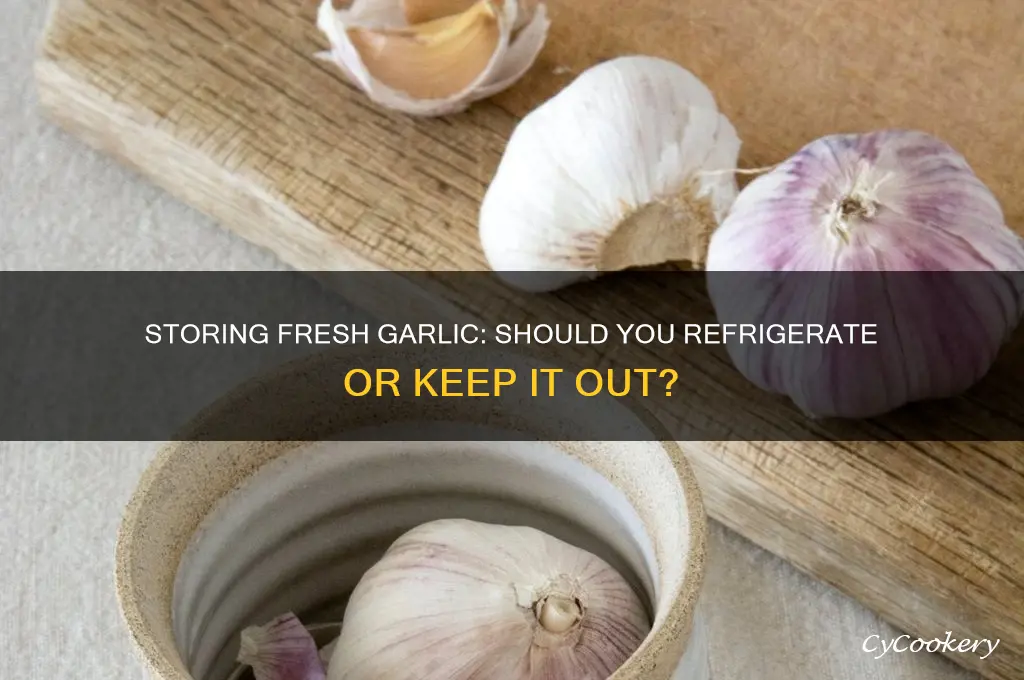 can you store fresh garlic in the refrigerator