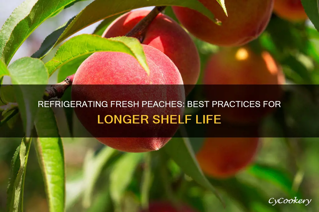 can you store fresh peaches in the refrigerator