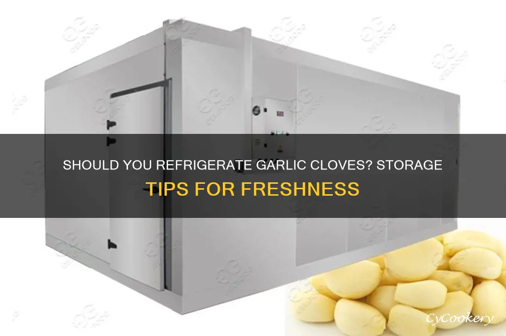 can you store garlic cloves in the refrigerator