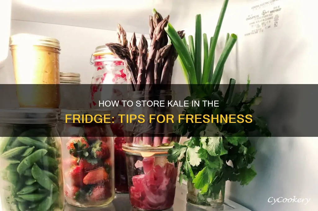can you store kale in the refrigerator