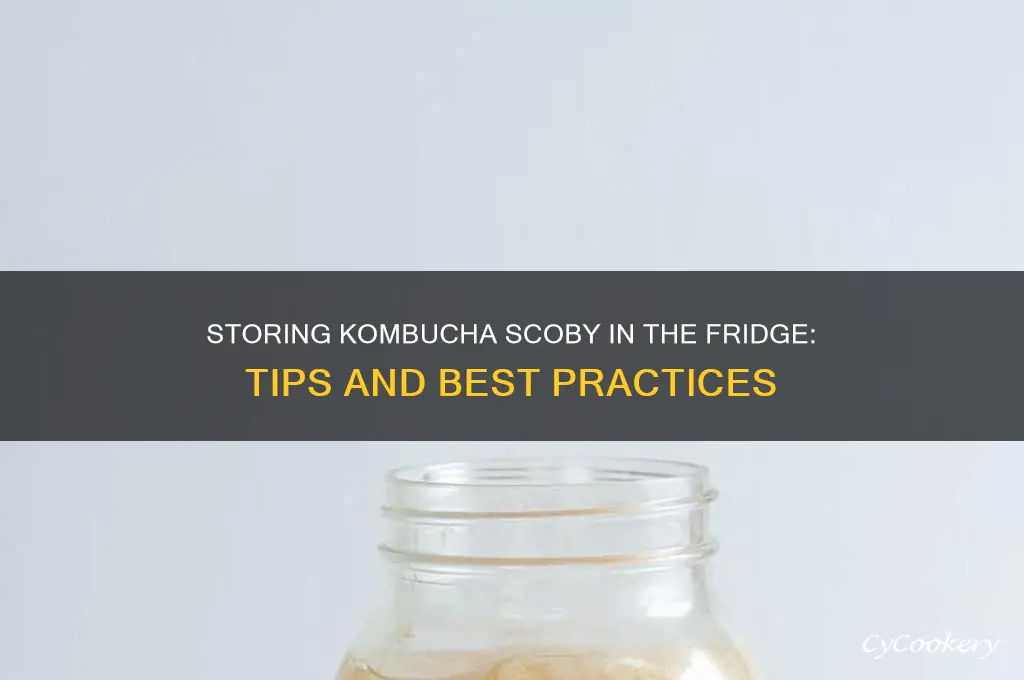 can you store kombucha scoby in refrigerator
