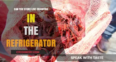 Storing Live Crawfish in the Fridge: Best Practices and Tips