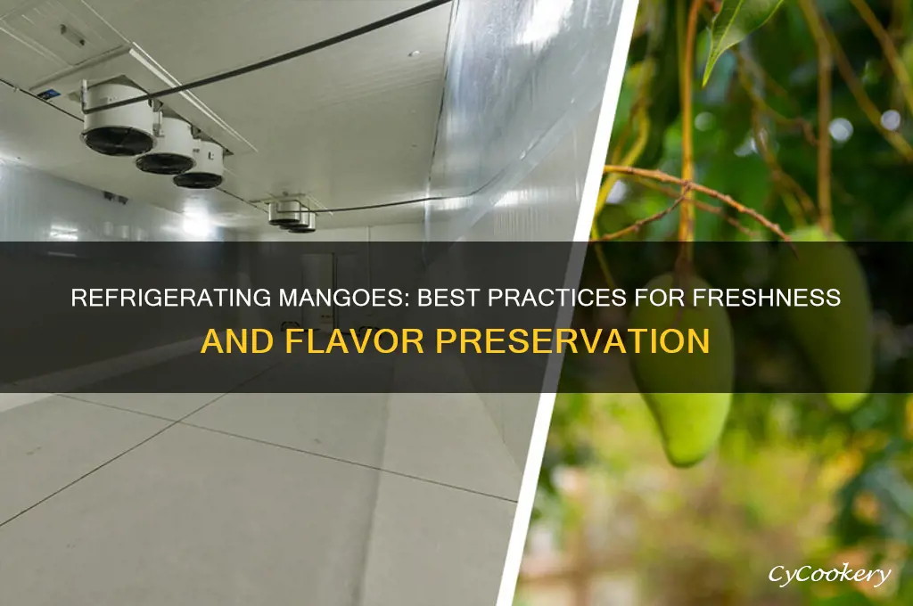 can you store mangoes in the refrigerator