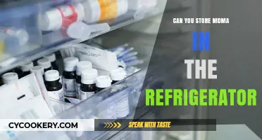 Storing MDMA in the Fridge: Safe Practice or Risky Move?