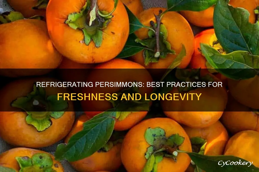can you store persimmons in the refrigerator