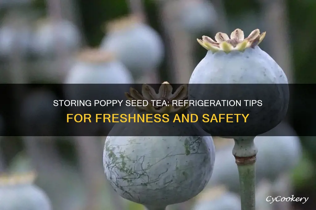 can you store poppy seed tea in the refrigerator