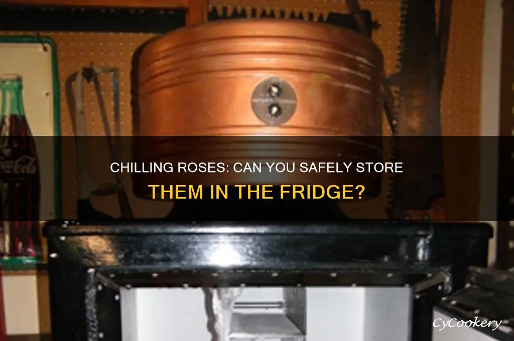 can you store roses in the refrigerator