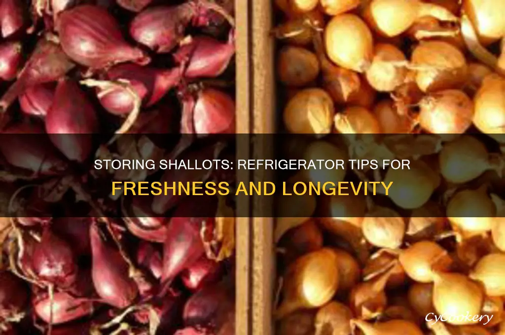 can you store shallots in the refrigerator