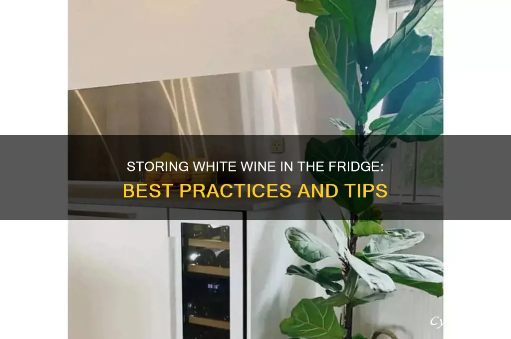 can you store white wine in the refrigerator