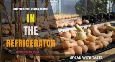 Storing Winter Squash: Refrigerator Tips for Freshness and Longevity
