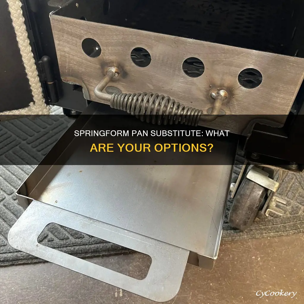 can you sub for spring form pan