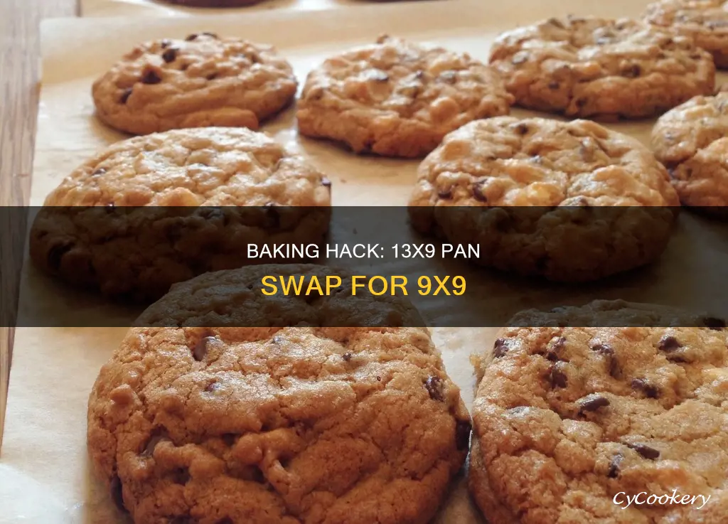 can you substitute 13x9 pan for 9x9