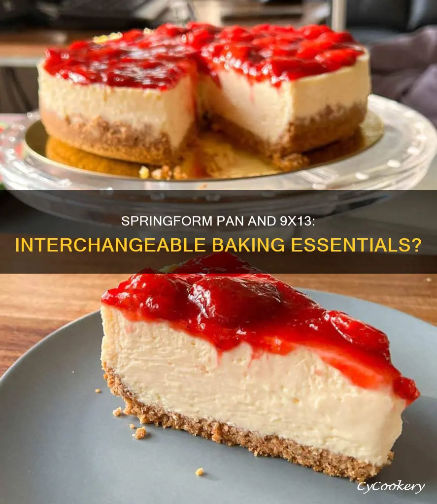 can you substitute a 9x13 for a springform pan