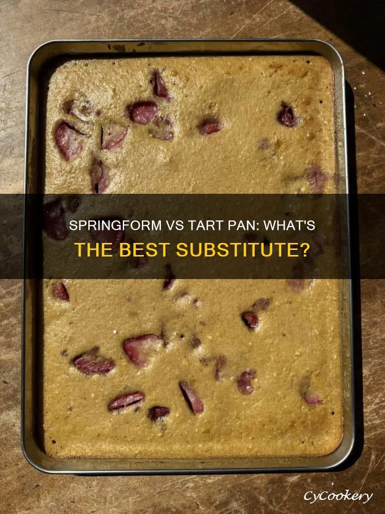 can you substitute a springform pan for a tart pan